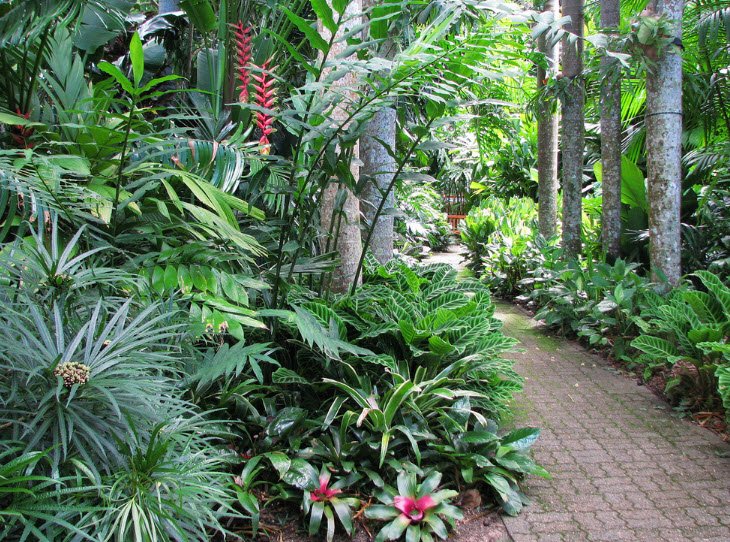 Cairns Botanic Gardens, Edge Hill, Queensland, Australia, Australia